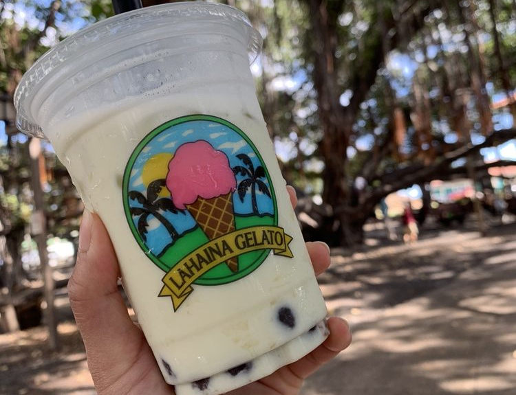 Boba with Banyon tree-h